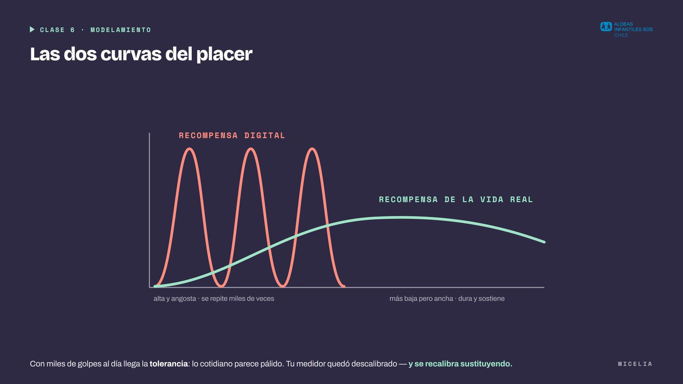 Lámina «Las dos curvas del placer» sobre recompensa digital y recompensa de la vida real